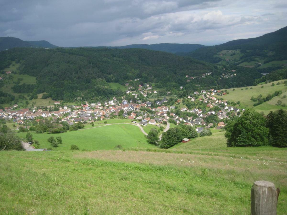 Gite En Pleine Verdure Au Coeur Du Village Lapoutroie Exteriér fotografie