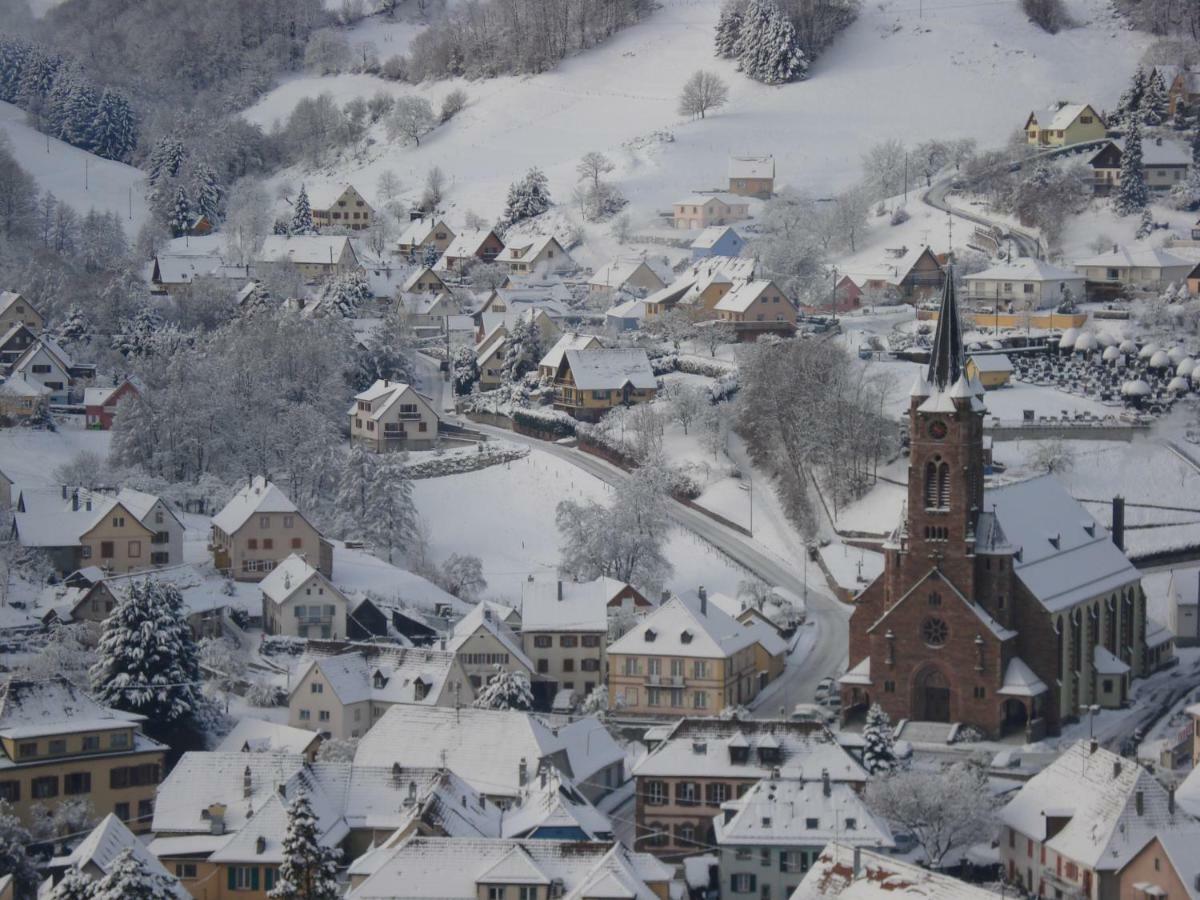 Gite En Pleine Verdure Au Coeur Du Village Lapoutroie Exteriér fotografie
